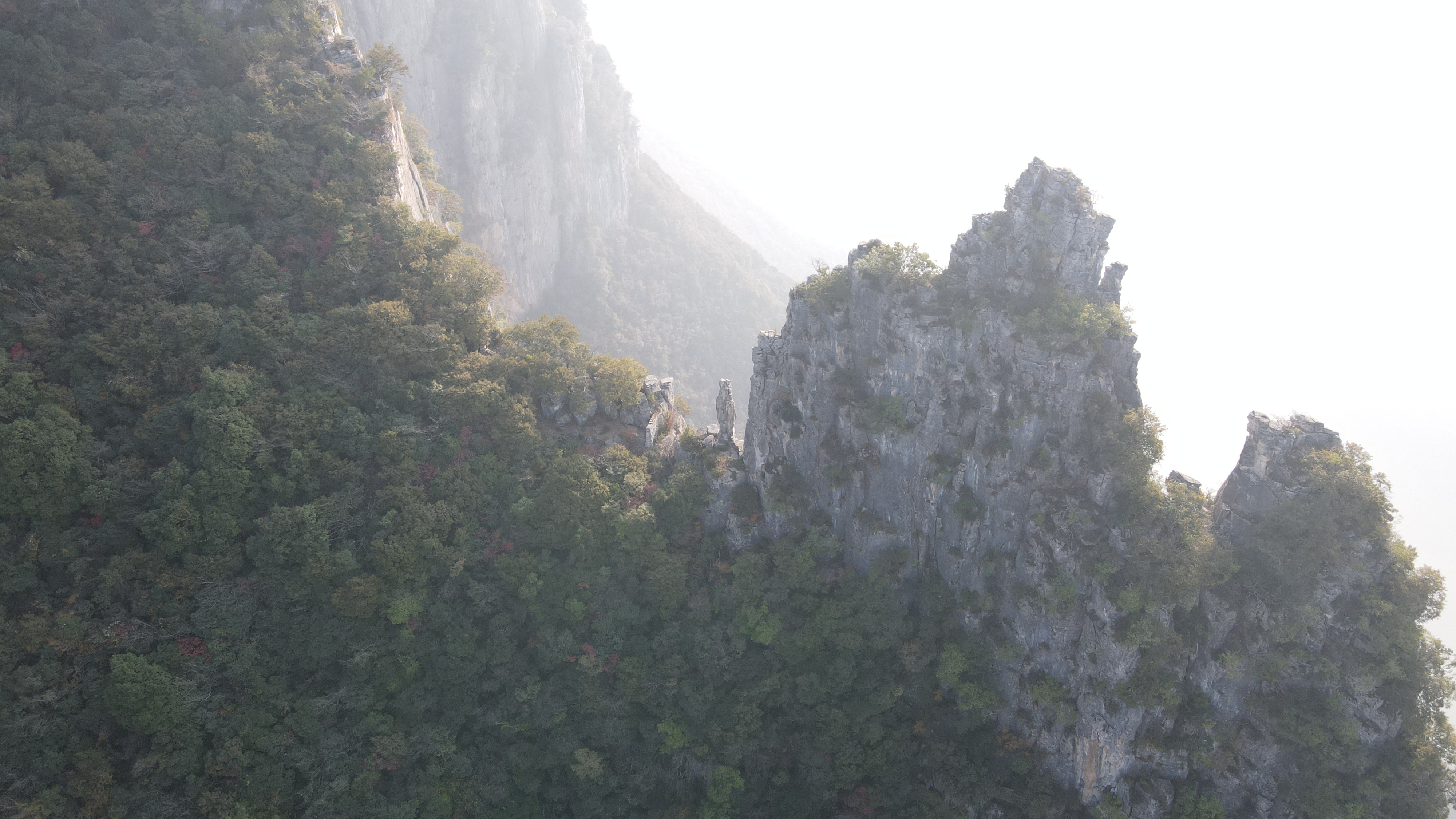 美维凯娅号游轮